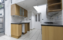 Whitestreet Green kitchen extension leads